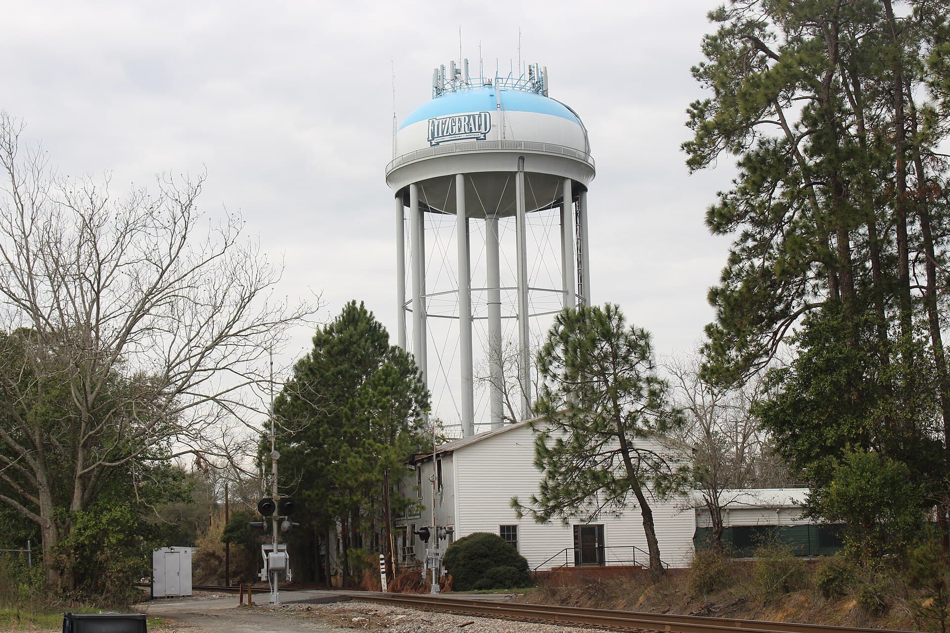 The Fitzgerald, Georgia water tower
